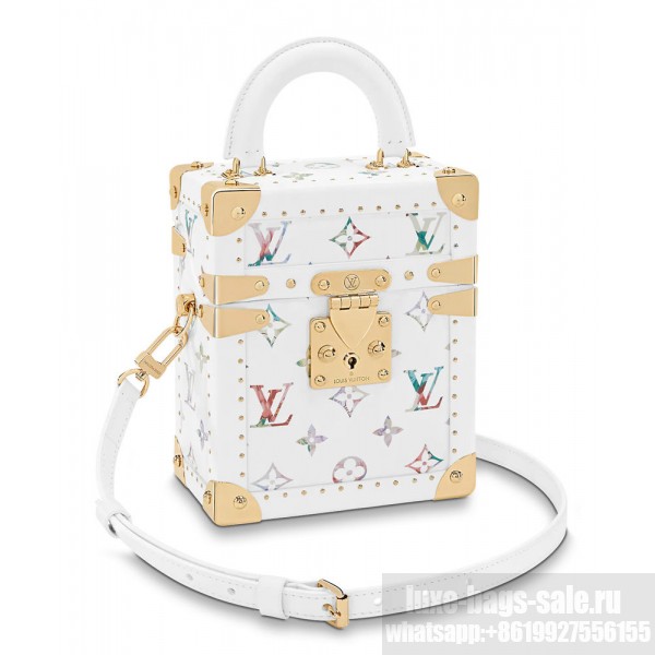 Camera box tote Louis Vuitton White in Synthetic - 36265905